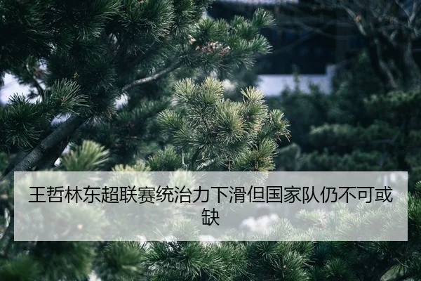 wang-zhe-lin-dong-chao-lian-sai-tong-zhi-li-xia-hua-dan-guo-jia-dui-reng-bu-ke-huo-que-2-354.jpg