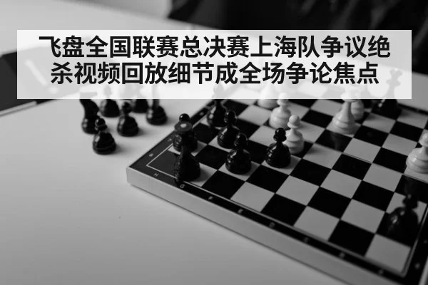 飞盘全国联赛总决赛上海队争议绝杀视频回放细节成全场争论焦点